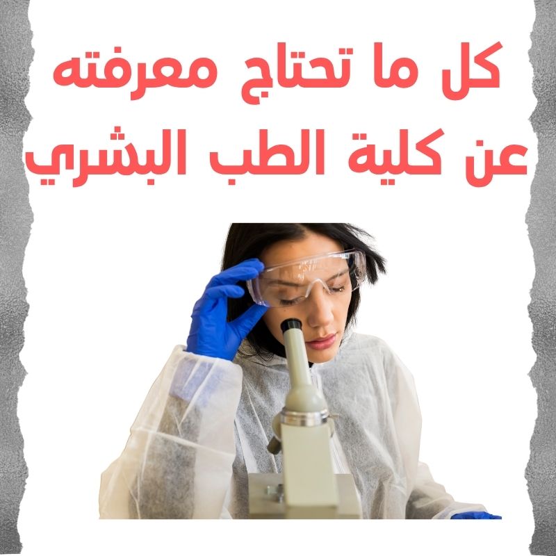 كل-ما-تحتاج-معرفته-عن كلية-الطب-البشري