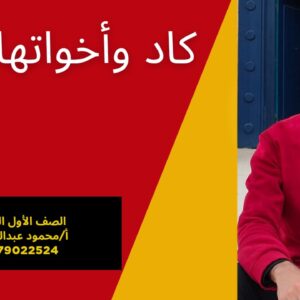 كورس البداية
